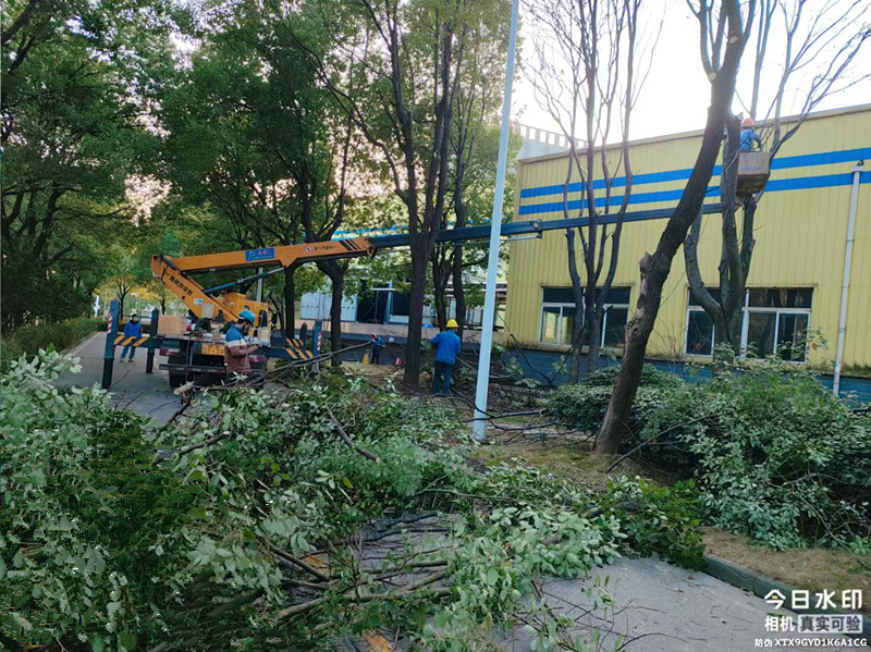 18米直臂登高车载人修剪厂房树枝施工现场